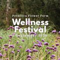 Wellness Festival Entry Tickets